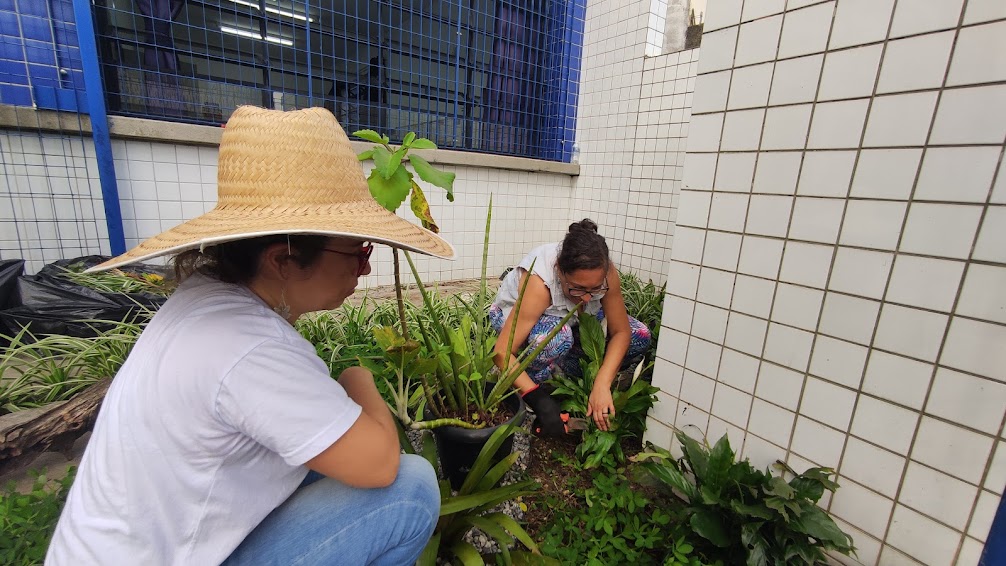 Profissionais Aurora Verde