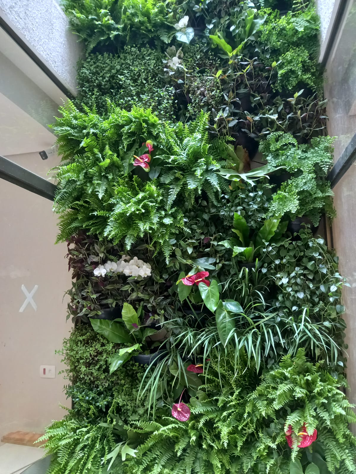 Projeto de paisagismo interno