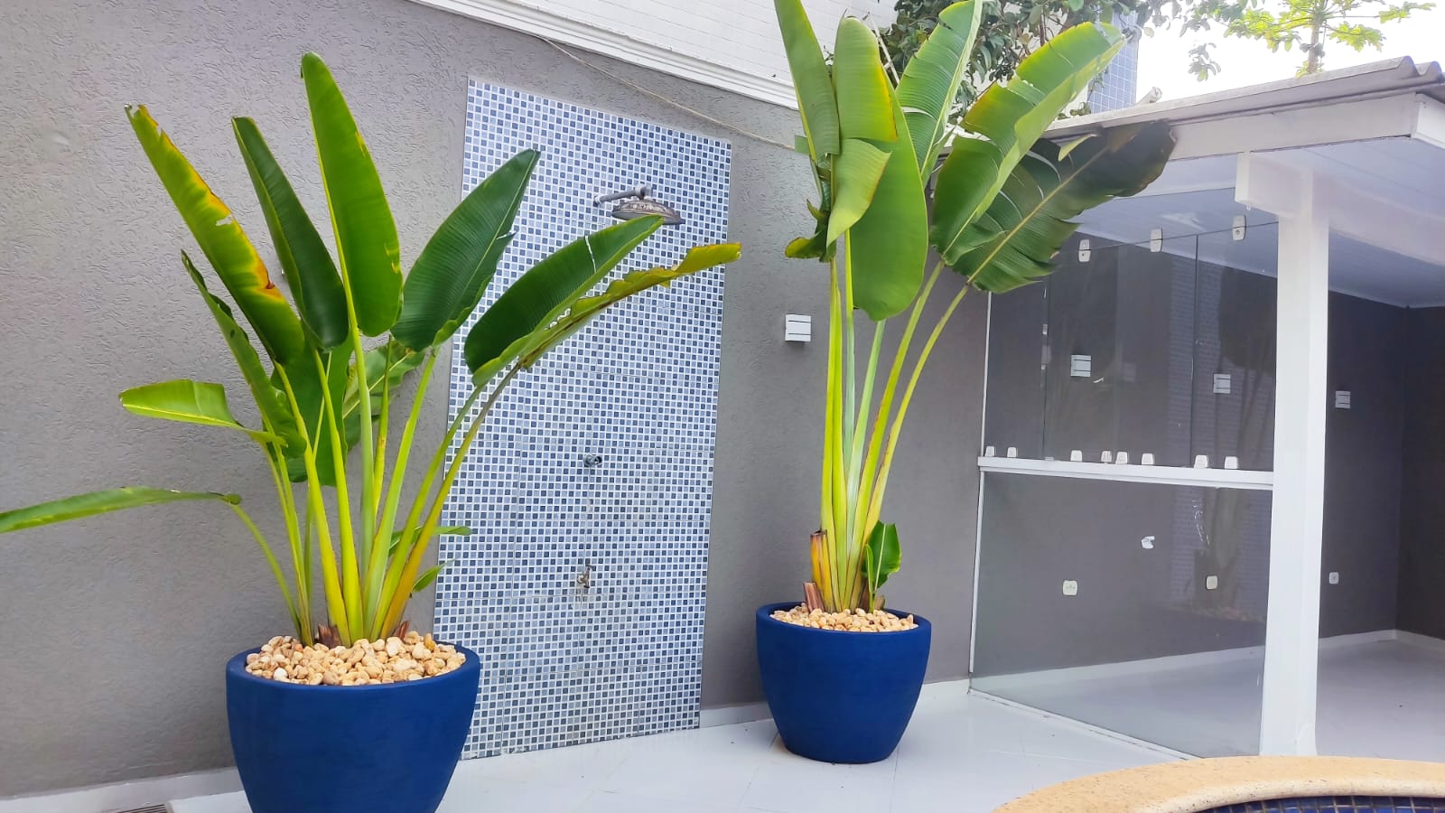 Projeto jardim vertical