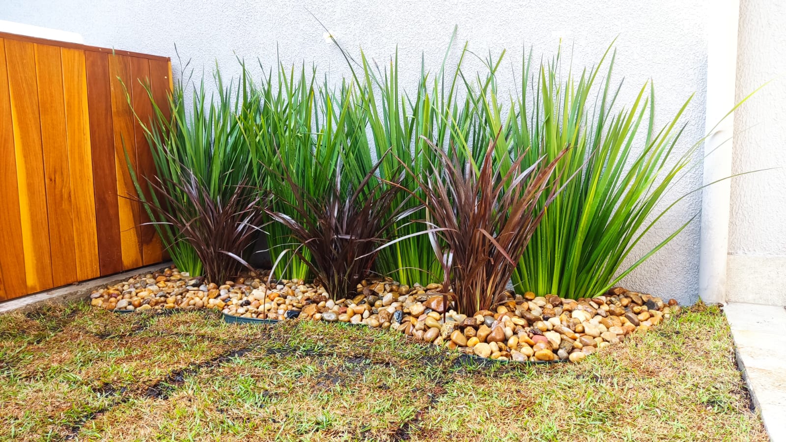 Projeto jardim vertical